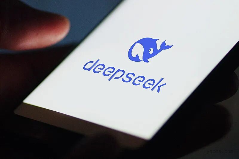 3月29日晚间，DeepSeek服务中断引热议